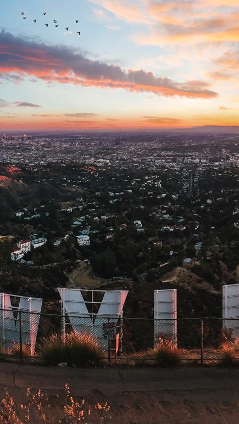 Hollywood Sign Wallpaper, Hollywood Sign Sunset, La Hollywood Aesthetic, Hollywood Astethic, Hollywood Sign Aesthetic, Hollywood Sign Pictures, Hollywood Wallpaper, Summer In Usa, Los Angeles Wallpaper