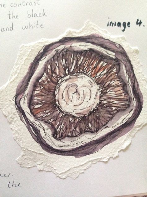 Mushroom Gcse Art, Mushroom Sketchbook, Mushroom Sketch, Mushroom Prints, Decay Art, Alevel Art, Fungi Art, Textiles Sketchbook, Natural Form Art