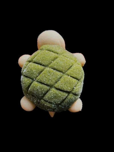 bread turtle! Turtle Bread, Bread Icon, Turtle Png, Turtle Drawing, Artist Alley, Journal Covers, Comfort Zone, Drawing Reference, Melon