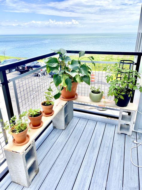 Cinderblock Plant Stand, Roofdeck Garden, Cinder Block Plant Stand, Diy Balcony, Modern Backyard Landscaping, Balcony Plants, Diy Plant Stand, Garden Lanterns, Small Balcony Decor