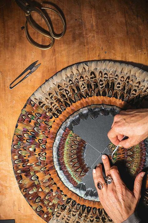 Ōpōtiki artist Fiona Kerr Gedson transforms feathers into Nepal-inspired mandalas - thisNZlife Art Using Feathers, Pheasant Feather Crafts Diy, Feather Project Ideas, Turkey Feather Art, Feather Display Ideas, Feather Art Diy, Feather Crafts Ideas, Feather Diy Crafts, Real Feather Art