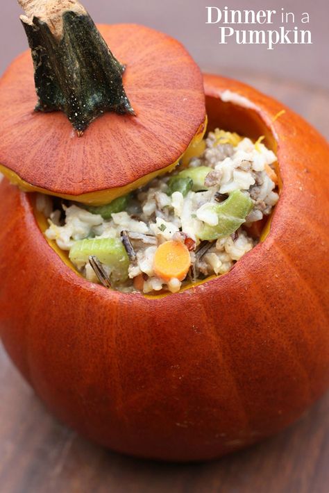 Dinner in a Pumpkin -- a delicious, hearty rice casserole baked inside a delicious pumpkin! Dinner In A Pumpkin, Rich Beef Stew, Tastes Better From Scratch, Chicken Casserole Easy, Healthy Party Food, Pumpkin Eater, Slow Cooker Beef Stew, Chocolate Caliente, Chicken Recipes Casserole