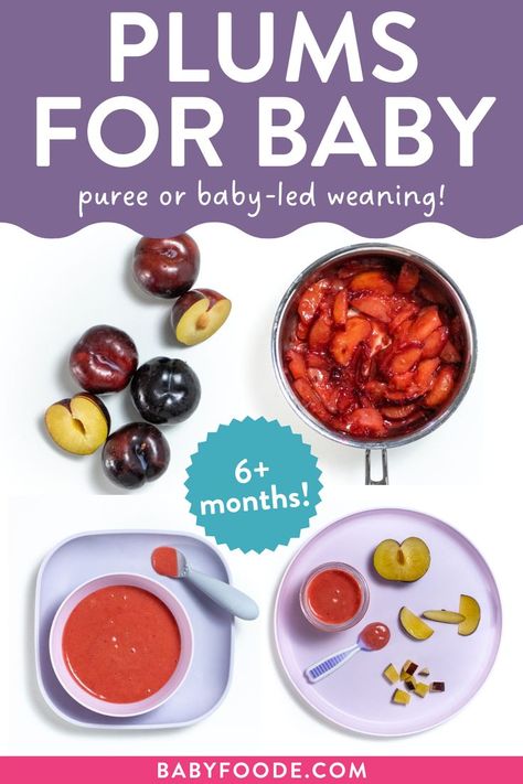 whole plums, plums in a saucepan, a bowl of puree on a plate and plum slices and plum dices on a plate Plum Puree Recipes, Plum Baby Food, Meat Baby Food, Baby Food Guide, Baby Food Puree, Weaning Baby, Food For Babies, Plum Recipes, Baby First Foods