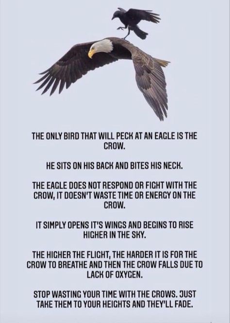 Smart Quotes Wisdom, Eagles Quotes, Stories With Moral Lessons, Stop Wasting Your Time, Spurgeon Quotes, The Crows, Moon Quotes, Inspirational Words Of Wisdom, Man Up Quotes