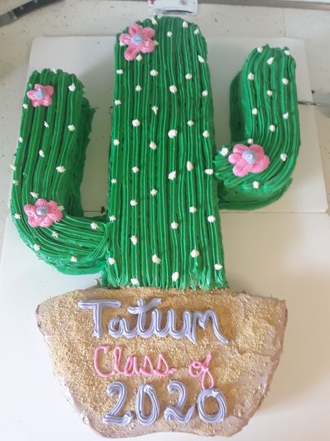 Cactus Sheet Cake, Cactus Cake, Taco Party, 16 Cake, Sweet 16 Cakes, Cactus Decor, Cowboy Party, Mexican Party, Chocolate Covered Strawberries