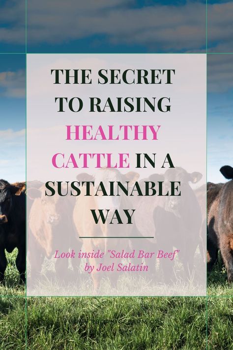 Joel Salatin's method prioritizes the well-being of the cattle, the health of the land, and the quality of the meat produced. In this blog post, we'll explore the key principles of Salatin's method, including prioritizing soil health, using rotational grazing techniques, not using antibiotics or hormones, and promoting grass-fed beef benefits. Whether you're a farmer or consumer, join us as we discover the secret to raising healthy cattle in a sustainable way. Let’s Get Growing! Grass Fed Beef Benefits, Beef Benefits, Rotational Grazing, Joel Salatin, Healthy Fruits And Vegetables, Purposeful Life, Grass Fed Meat, Starting A Garden, Different Vegetables