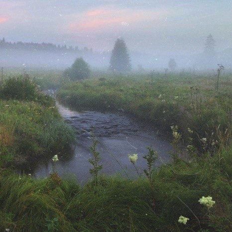 — “figuring out each day, slowly” moodboard Cottagecore Aesthetic, 판타지 아트, Nature Aesthetic, Pretty Places, Green Aesthetic, Infj, Mother Earth, Pretty Pictures, Happy Places