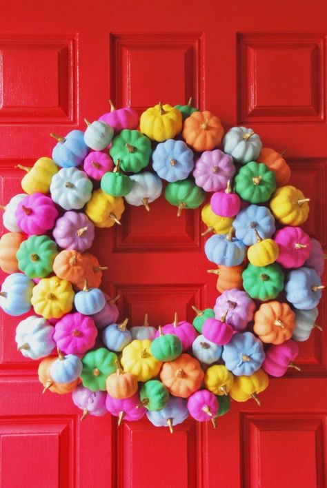 Rainbow Pumpkin, Pumkin Decoration, Straw Wreath, Colorful Wreath, Diy Rainbow, Pumpkin Colors, Pumpkin Wreath, Long Island Ny, Mini Pumpkins