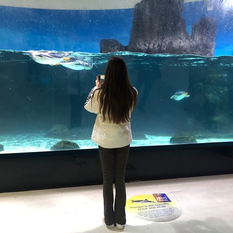 girl with brown hair wearing a white adidas puffer jacket and brown flare pants taking a photo of penguins in their enclosure at an aquarium. Aquarium Outfit Ideas Winter, Aquarium Outfit Ideas, Aquarium Outfit, Poses Winter, Cold Aesthetic, Instagram Post Ideas, Outfit Ideas Winter, Ideas Pose, Winter Instagram