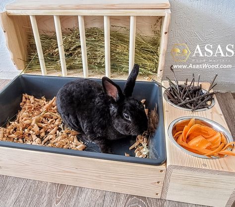 Bunny Litter Box, Rabbit Feeder, Rabbit Hay Feeder, Rabbit Enclosure, Rabbits For Sale, Rabbit Litter, Rabbit Litter Box, Rabbit Accessories, Rabbit Hay