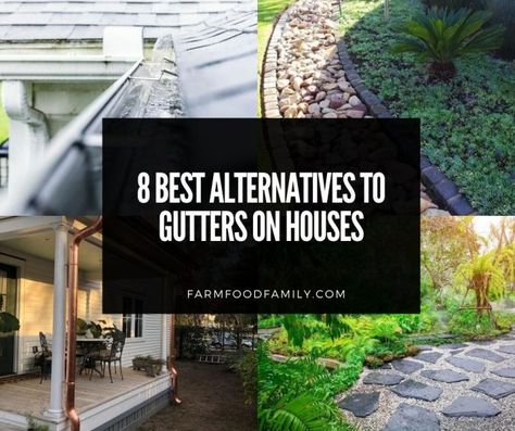 alternatives-to-gutters No Gutters Roof Runoff Ideas, Downspout Alternatives, Rain Gutter Drainage Ideas, Gutter Alternatives, Rain Gutters Drainage Ideas, House Without Gutters, Gutter Drainage Ideas, Gutter Extensions, Pvc Gutters