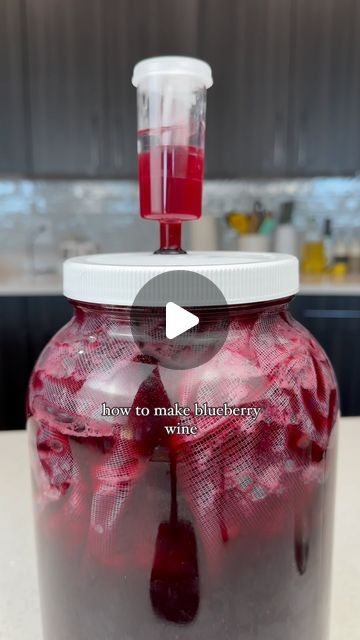 Dominique on Instagram: "How to make blueberry wine part one. 🫐  In this video I will try my best to teach you the tips and tricks to homemade winemaking. I am still new to winemaking, but I love this hobby so much.   Remember using a mesh bag for wine making is optional, but I recommend it! It makes clearing the wine easier. A hydrometer is used for brewing beer, wine or cider. It can tell you your potential alcohol percentage. Remember to have fun!! Cheers. 🍷  *Ensure you are 21 years of age or older before participating in this activity.  #blueberry #wine #blueberries #homebrew #homebrewing  Have you ever had blueberry wine? 🍷" Homemade Wine Recipes, Blueberry Wine, Brewing Beer, Homemade Wine, Beer Brewing, Wine Making, Mesh Bag, Home Brewing, Blueberries