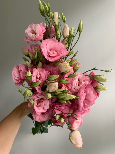 Locally grown pink lisianthus, a summer flower favorite. Pink Lisianthus Bouquet, Lisanthius Flowers, Lisianthus Bouquet, Pink Flowers Bouquet, Lisianthus Flower, Pink Lisianthus, Lisianthus Flowers, Floral Designs Arrangements, Pink Flower Arrangements