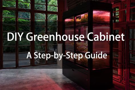 DIY Greenhouse Cabinet: A Step-by-Step Guide Curio Cabinet Greenhouse, Sensitive Plant, Unique Knobs, Indoor Greenhouse, Grow Tent, Reptile Enclosure, Led Grow, Step Ladder, Led Grow Lights