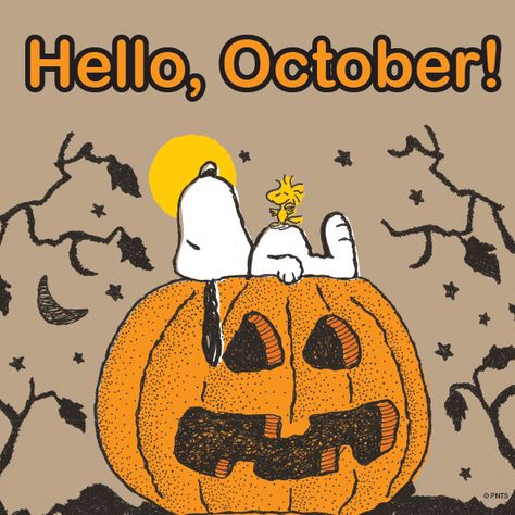 Hello, October! Snoopy Dog, Peanuts Halloween, Charlie Brown Halloween, Snoopy Halloween, Peanuts Cartoon, Peanuts Characters, Hello October, Snoopy Quotes, Snoopy Pictures