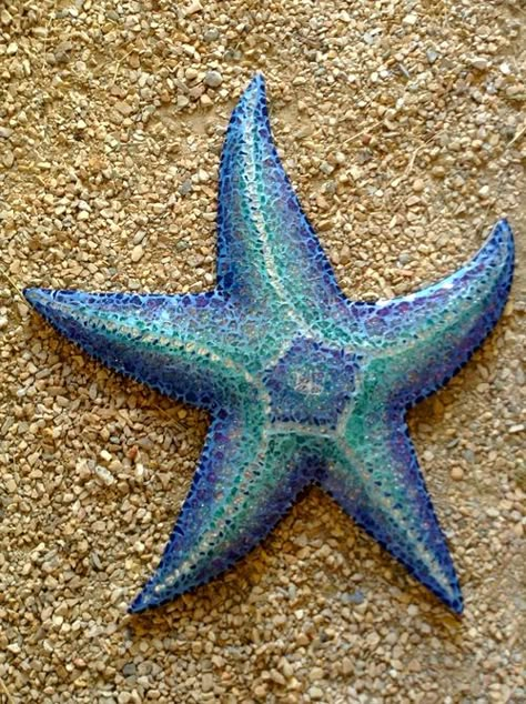 Production — EB Studio Cool Sea Creatures, Starfish Art, Tropical Interior Design, Sea Creatures Art, Nature Projects, World Birds, Clay Crafts Air Dry, Sea Star, Sea Fish