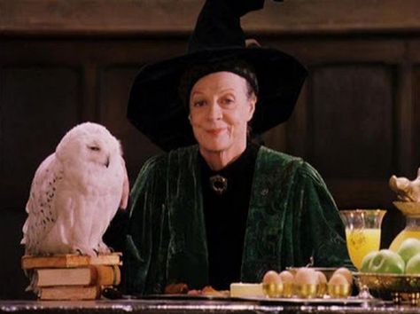 I got: Minerva McGonagall! Which Hogwarts Professor Are You? Professor Mcgonagall, Harry Potter Professors, Hogwarts Professors, Yer A Wizard Harry, Harry Potter Images, The Sorcerer's Stone, Maggie Smith, Harry Potter Costume, Harry James Potter