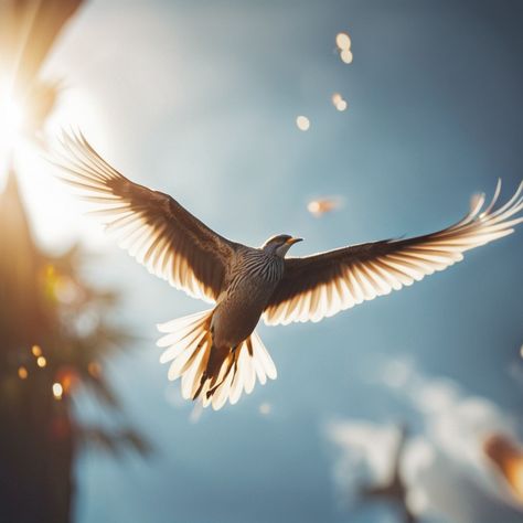 Flying Birds Photography, Flying Bird Aesthetic, Birds Freedom, Bird Freedom, Birds Flying In The Sky, Bird Soaring, Birds Sunset, Freedom Bird, Sun Aesthetic