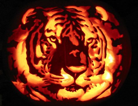 21 Brilliantly Fun Pumpkin Carvings. – Page 14 of 21 – InspireMore Tiger Pumpkin Carving, Tiger Pumpkin, Tiger Halloween, Jack Lantern, Fun Holidays, Pumpkin Decorating Contest, Disney Pumpkin, Creative Pumpkin Carving, Amazing Pumpkin Carving