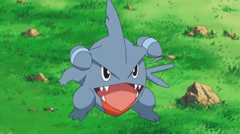 Gible Pokemon, Ash Pokemon, New Pokemon, All Pokemon, My Pokemon, Pokemon Pictures, Pokemon Art, Pokemon Go, Power Rangers