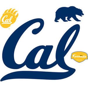 Cal Berkeley decals - Google Search Berkeley University Logo, Cal Berkeley Logo, California Berkeley University, Uc Berkeley Campus, Cal Berkeley, Berkeley Square, Ninja Turtle Cake, Turtle Cake, Bear Cake