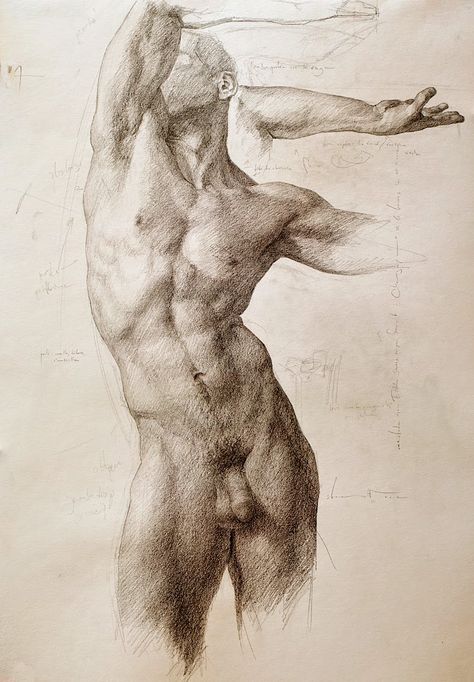 Shane Wolf, Male Body Drawing, Male Body Art, Back Drawing, Male Figure Drawing, Human Body Drawing, Human Figure Sketches, Nude Artwork, Human Anatomy Drawing