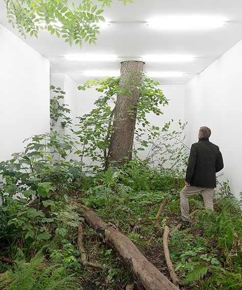 Plant Installation, Alfred Stieglitz, Small Waterfall, Sculpture Installation, True Nature, Land Art, Art Plastique, Delaware, Art Blog