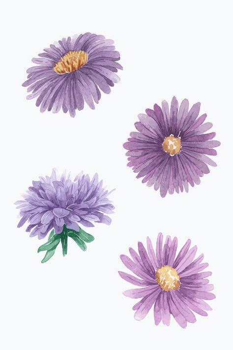 Astra Flower Drawing, Purple Aster Flower Tattoo, Watercolor Aster Flower, Purple Aster Tattoo, Aster Flower Illustration, Purple Flower Drawings, Aster Flower Tattoo Color, Purple Flower Illustration, Aster Flower Aesthetic