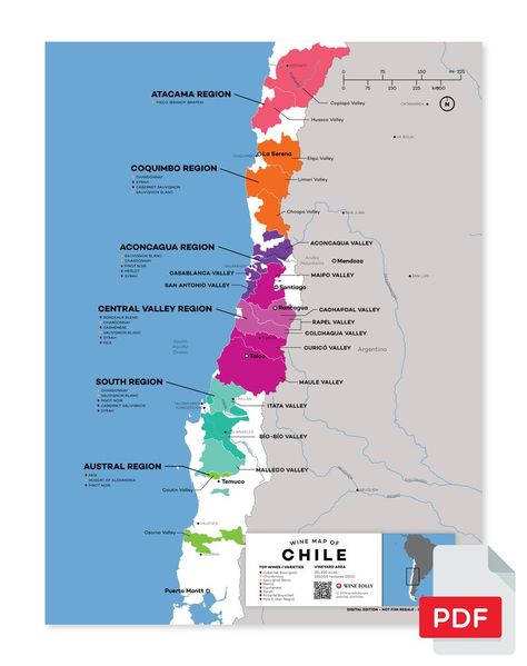 Chile Wine Regions - Corking Around Wine Study, Wine Region Map, Wine Paring, Chile Wine, Wine History, Chilean Wine, Wine Production, Barolo Wine, Wine Folly