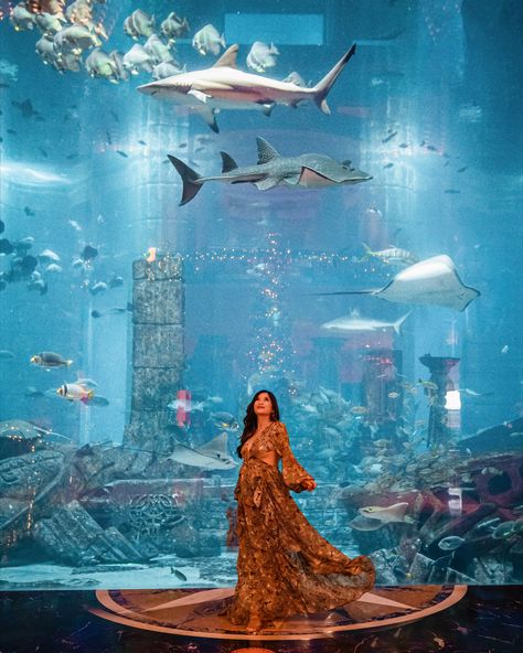 DUBAI TRAVEL GUIDE: 6 DAY GUIDE FOR FIRST TIMERS Dubai Fashion Women, Dubai Picture Ideas, Dubai Couple, Kenya Trip, Three Days In Paris, Dubai Photoshoot, Dubai Travel Guide, Underwater Restaurant, Dubai Vacation