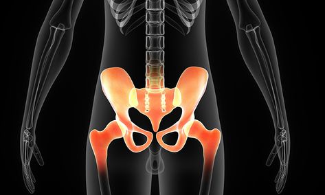 Hip anatomy illustrated Understanding Anatomy, Hip Anatomy, Neuromuscular Therapy, Fascia Lata, Sports Physical Therapy, Pelvic Girdle, Anterior Cruciate Ligament, Musculoskeletal Pain, Hip Mobility