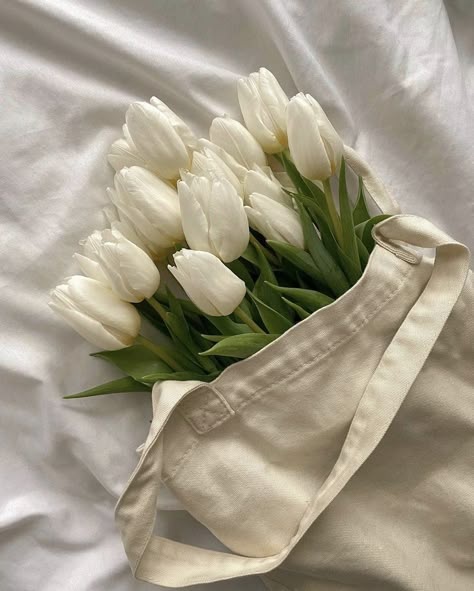 White Tulips Wallpaper Aesthetic Desktop, Cream Tulips, 2023 Study, Study Goals, Ipad Homescreen, Cream Aesthetic, Nothing But Flowers, Flower Therapy, White Tulips