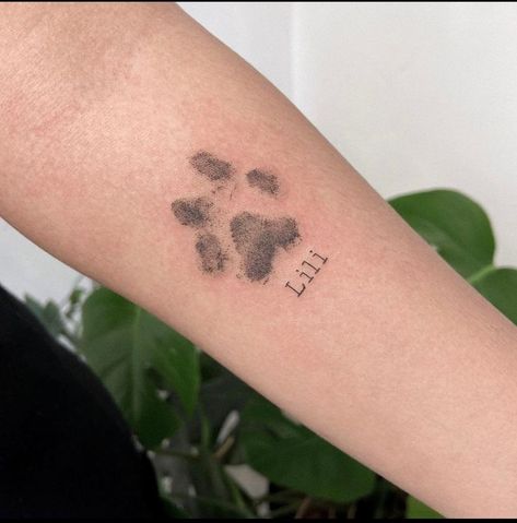 Cat Print Tattoo Ideas, Paw Tattoo Cat, Cat Nose Print Tattoo, Paw Print Tattoo Cat, Cat Paw Tattoo Ideas, Tattoo Cat Paw, Cat Paw Tattoo, Paw Print Tattoo Ideas, Paw Tattoo Ideas