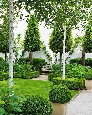 The Impatient Gardener: Discovering garden styles part 2: Formal gardens Driveway Landscape, Creek Garden, Formal Garden Design, Boxwood Garden, White Birch Trees, Topiary Garden, Formal Garden, Southern Highlands, Stoney Creek