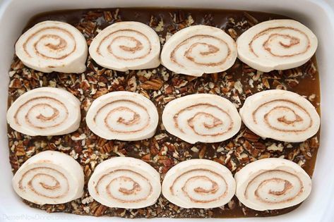 Cinnamon Rolls Sticky Buns, Frozen Cinnamon Rolls, Pecan Rolls Recipe, Maple Sticky Buns, Caramel Pecan Rolls, Rhodes Cinnamon Rolls, Homemade Sticky Buns, Caramel Pecan Sticky Buns, Easy Sticky Buns