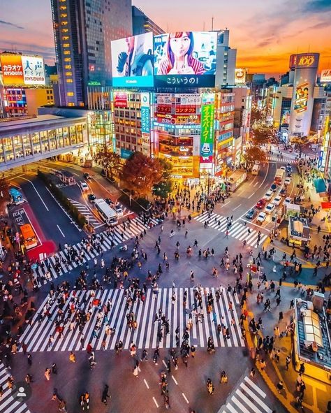 Asian City, Tokyo Travel Guide, Materi Bahasa Jepang, City Inspiration, Shibuya Crossing, Tokyo Japan Travel, Tokyo City, Japan Photography, 강아지 그림