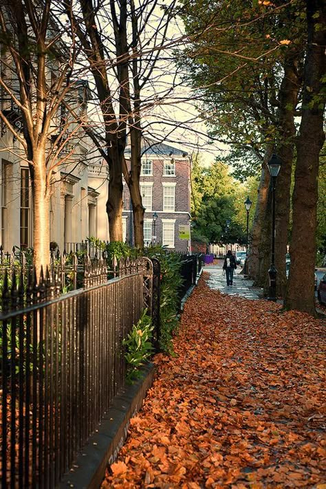 Leaf covered sidewalk in #London New York Christmas Aesthetic, Leaves On The Ground, Autumn Landscapes, Leaves Photo, Liverpool Uk, Christmas Aesthetic Wallpaper, Autumn In New York, Liverpool England, Wallpaper Collage