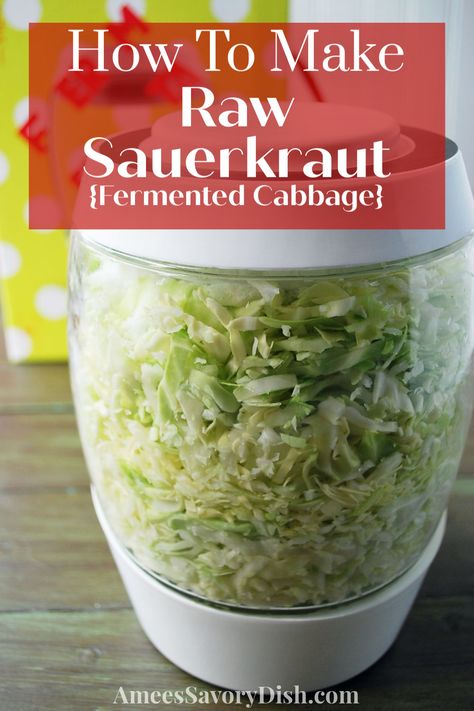 An easy recipe for fermented homemade raw sauerkraut made with only a few simple ingredients using the Mortier Pilon fermentation crock #fermentedfoods #rawsauerkraut #guthealth via @Ameecooks Fermenting Crock Pots, Raw Sauerkraut, Fermented Foods Benefits, Sauerkraut Recipe, Homemade Sauerkraut, Fermentation Crock, Fermented Cabbage, Sauerkraut Recipes, Fermentation Recipes