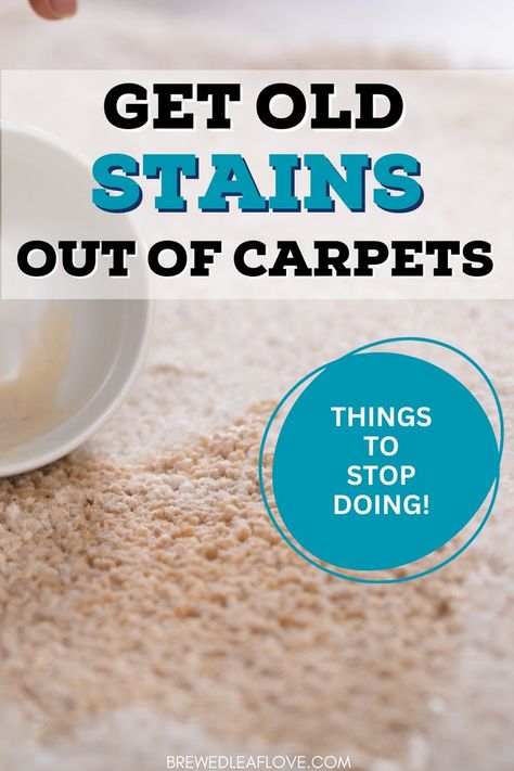 how to remove stains from carpet Clean Carpet Stains, Best Carpet Cleaning Solution, Best Carpet Stain Remover, Diy Carpet Stain Remover, Carpet Stain Remover, Cleaning Carpet Stains, Clean Carpet, Deep Cleaning House, Carpet Stain