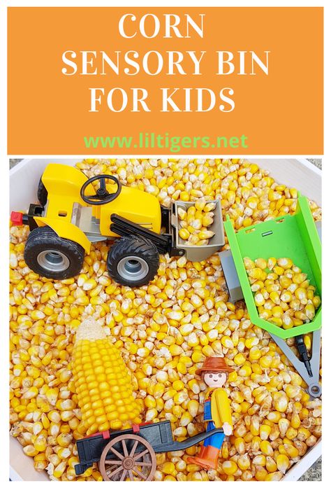 Corn Sensory Bin, Edible Sensory Play, Farm Sensory Bin, Fun On The Farm, Fall Sensory Bin, Sensory Activities For Preschoolers, Fall Sensory, Sensory Play Toddlers, Farm Animals Activities