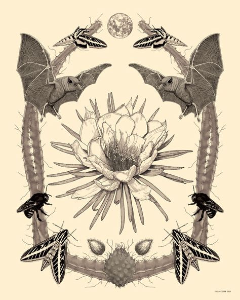 Oddities Illustration, Night Blooming Flowers Tattoo, Moth Wreath, Cereus Flower, Night Blooming Cactus, Cactus Species, Night Blooming Cereus, Bat Illustration, Sphinx Moth