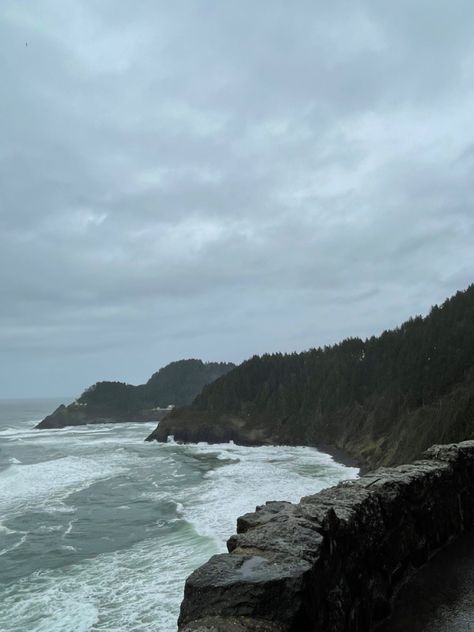 Forest And Beach, Salty Granola, Oregon Aesthetic, Evermore Aesthetic, Cloudy Beach, Beach Rain, Grey Forest, Dark Beach, Summer Board