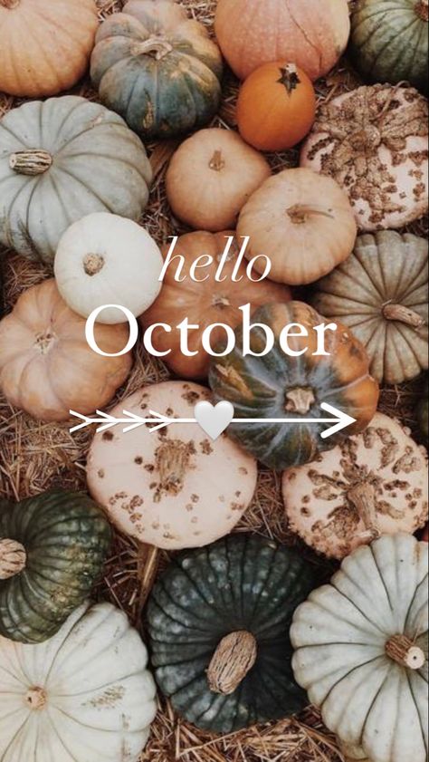 October Wallpaper, Wallpaper Fall, Hello October, Gourds, Pumpkins, Halloween