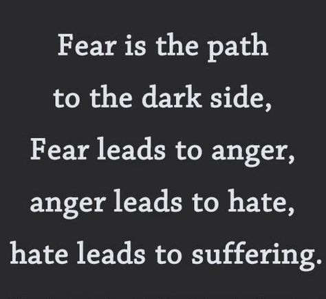 Yoda Wisdom, Fear Leads To Anger, Funny Romantic Quotes, Whatsapp Pictures, Quotes Encouraging, Quotes Inspirational Motivational, Leadership Quotes Inspirational, Quotes Romantic, Daily Quotes Positive