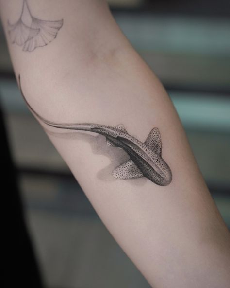 RECENT TATTOOS BY OUR ARTISTS @uplifttattoo 🤍 #tattooshop #tattooartist #tattooinspiration #tattoonyc #soho #tattoodesign #nyc Black And Grey Shark Tattoo, Ocean Animals Tattoo, Leopard Shark Tattoo, Realistic Shark Tattoo, Lemon Shark Tattoo, Shark Tattoos For Women, Sea Animals Tattoo, December Tattoo, Tattoo Shark