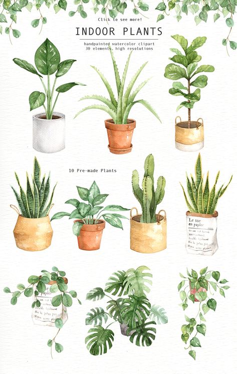 Indoor Plants Watercolor Clipart by everysunsun on @creativemarket Indoor Plants Drawing, Watercolour Leaves, Plants Watercolor, Kaktus Dan Sukulen, Pot Image, Plants In Pots, Indoor Flowering Plants, نباتات منزلية, Leaves Watercolor