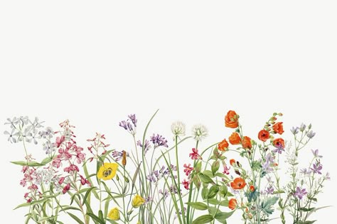 Flower Background Wallpaper Landscape, Flower Landscape Wallpaper, Floral Cover Photo, Flower Background Landscape, Website Background Design, Flower Header, Wildflower Invitation, Macbook Air Wallpaper, Baby Print Art