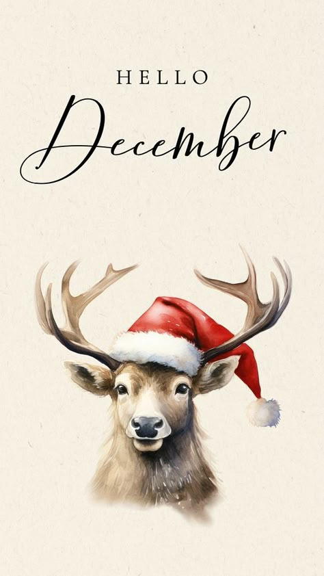 Hello December Facebook story template | free image by rawpixel.com / ton December Cover Photo Facebook, Hello December Wallpaper Christmas, Hello December Wallpaper, Hello December Images, December Images, December Wallpaper, Facebook Story, Pic Pic, Painted Cards