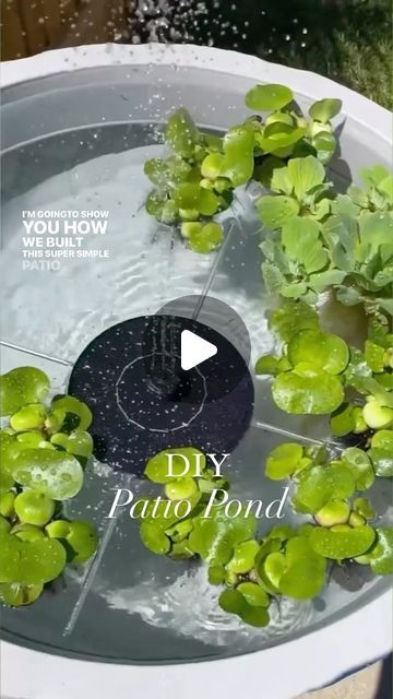 Shavonne Flegel on Instagram: "DIY Patio Pond! 🌿💦 So simple and so gorgeous!   This is my most recreated DIY project to date! Tag me in your pond posts! 🤗 We can’t wait to see the beautiful patio ponds you make this spring and summer!  ☀️ Solar Fountains linked in my bio!  🪴The plant pot we used for this pond is from @just_a_girl_in_her_garden   Follow @onceuponabungalow for more Home & DIY! 🏡   #diy #diyprojects #springdiy #diys #gardenideas #homegarden #gardendesign #gardendiy #gardendecor #gardeninspiration #gardendesign #gardening #pond #patio #patiopond #exteriordesign #homedesign #landscapingdesign #homeprojects #pondplants #plants #waterplants #easydiy #easyhomedecor #backyard #backyardgarden" Patio Pond Diy, Diy Patio Pond, Diy Ponds Backyard Simple, Patio Ponds, Diy Ponds Backyard, Solar Pond, Patio Pond, Diy Pond, Solar Fountain