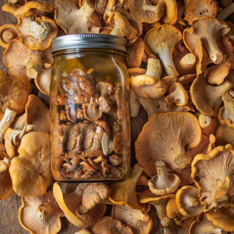 Wild Mushroom Conserve Recipe Cooking With Chicken, Chanterelle Mushroom Recipes, Pickled Mushrooms, Foraging Mushrooms, Chicken Of The Woods, Champagne Vinegar, Water Bath Canning, Warm Salad, Pressure Canner